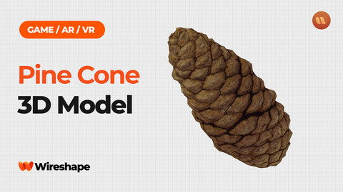 Pine Cone - Real-Time 3D Scanned