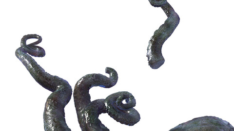 Endless sea - octopus