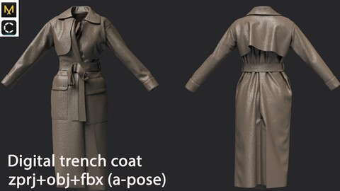Digital trench coat