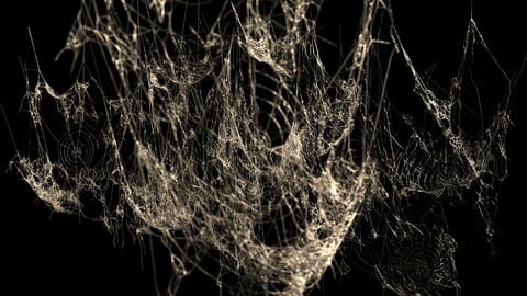 Spiderweb Bundle