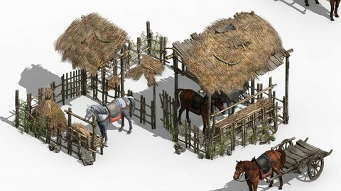 Horseback riding - Stables 04