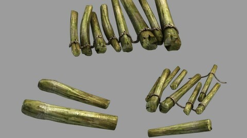 Wild - Wooden Bridge 01