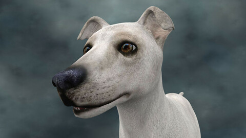 MDGH.001 Rigged Dog