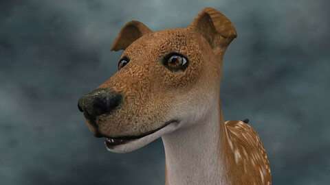 MDGH.002 Rigged Dog