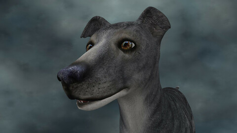 MDGH.003  Rigged Dog