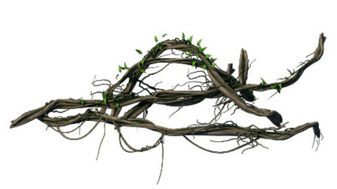 Big Trees - Vines 03