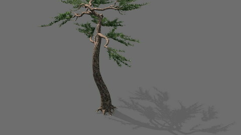 Game model - Alpine - Pine 03