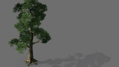 Game model - Alpine - Pine 05