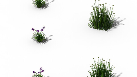 Flowers - General Weeds 01