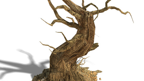 Barracks - desert Dead tree 05