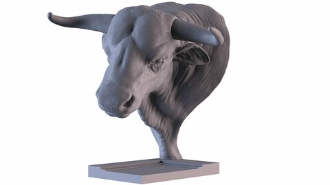 Head Bull