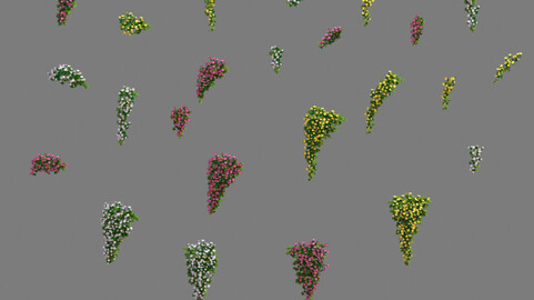 Daughter village - hanging flowers