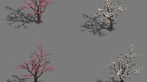 Daughter village - plum tree