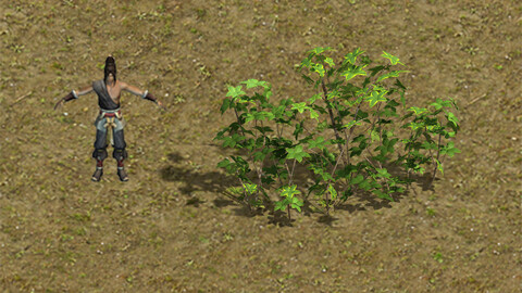 Forest - Large Shrub 09