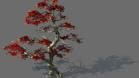Game Model - Forest - Maple Tree 3