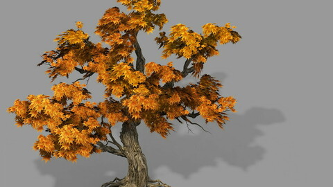 Game Model - Forest - Maple Tree 8