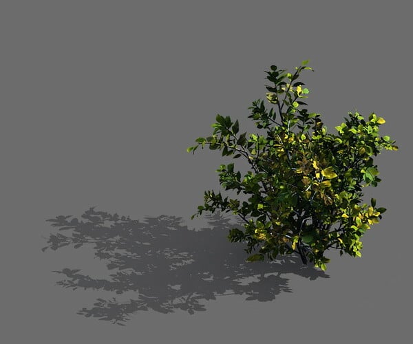 ArtStation - Game Models - Forest - Shrubs 05 | Game Assets