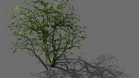 Game Model - Forest - Shrubs 08