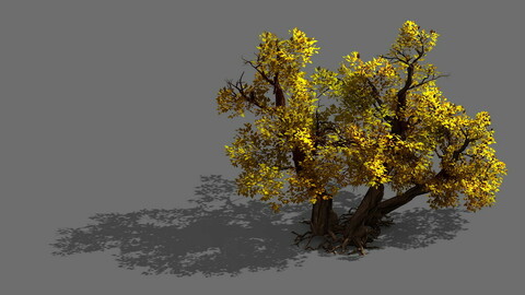Game Models - Forest - Shrubs 11