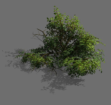 ArtStation - Game Model - Forest - Shrub 15 | Game Assets