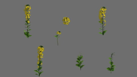 Game Model - Forest - Flowers 02
