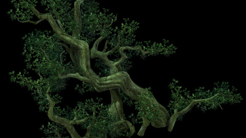 Game Model - Forest - Tree 04
