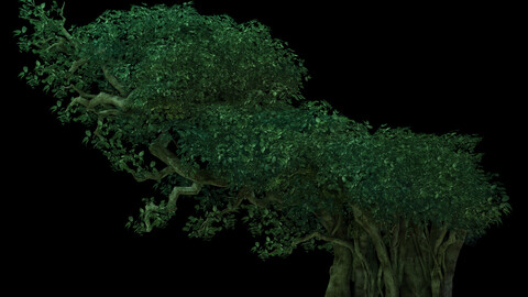 Game Model - Forest - Tree 05
