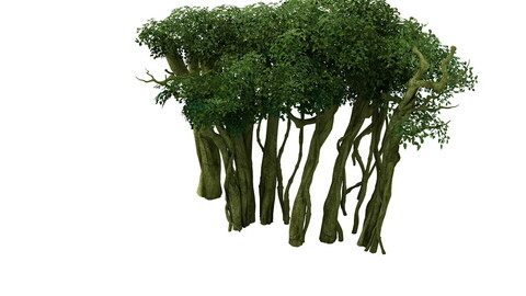 Game Model - Forest - Tree 14