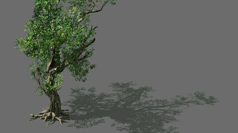 Game Models - Forest - Trees 03