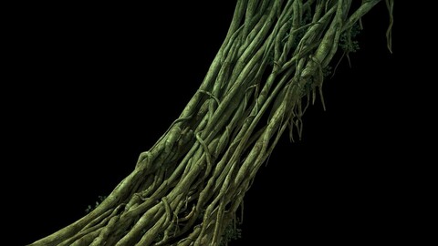 Game Model - Forest - Teng Bridge 05