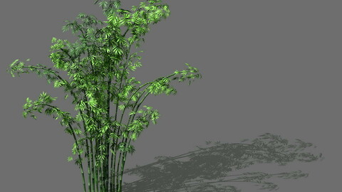 Game Model - Forest - Bamboo