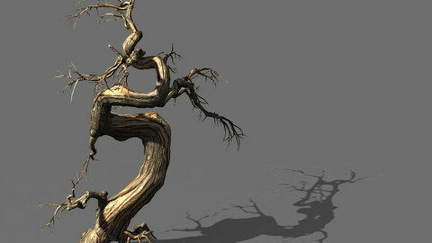 Game Model - Desert - Deadwood 11