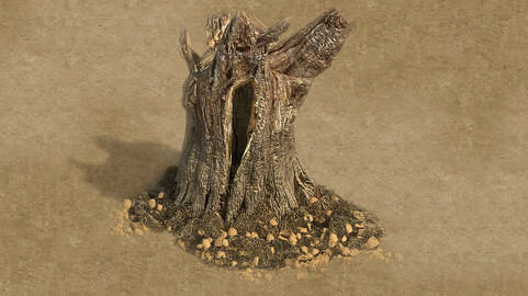 Desert - dead roots 03