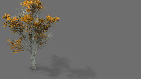 Game Models - Desert - Trees 04