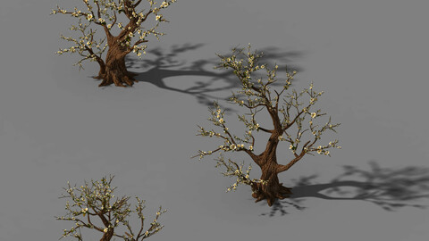 Peach Blossom Island - Plant - Big Trees 02