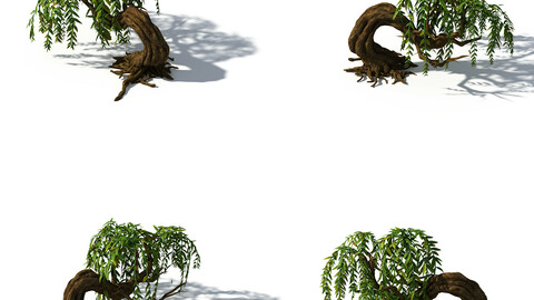 Peach Blossom Island - Plant - Willow 01
