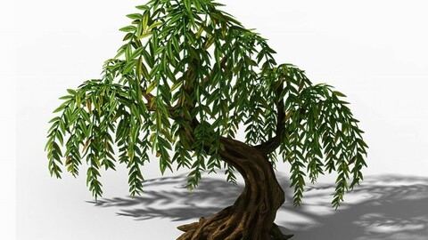 Peach Blossom Island - Plant - Willow 02