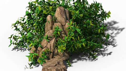 General plant - flowers 39