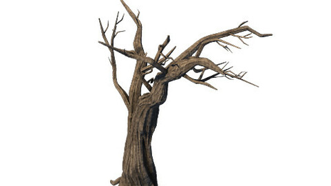 General Plant - Trees 05