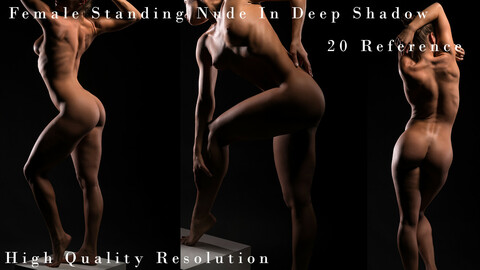 Female Standing Nude In Deep Shadow