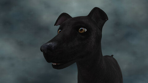 MDGH.004 Rigged Dog