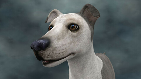 MDGH.005 Rigged Dog