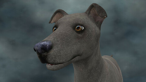 MDGH.006 Rigged Dog
