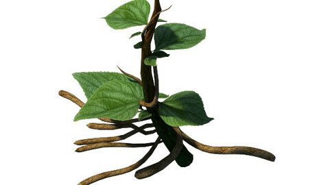 Plant Trees - Vines 01