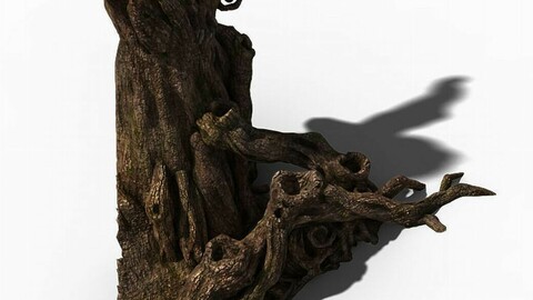 Zhongnanshan - beautiful personality tree root 01
