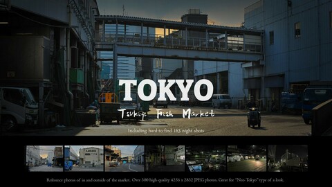Tsukiji Fish Market - photo pack 2 including night shots (2008)