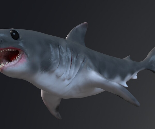 ArtStation - Baby Shark Model - 18 Animations | Game Assets