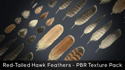 Red-Tailed Hawk Feathers Texture Pack