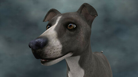 MDGH.008 Rigged Dog