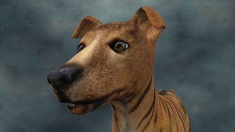 MDGH.010 Rigged Dog